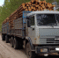 Бросали мусор, проезжали по дороге, торговали - Газета Селигер